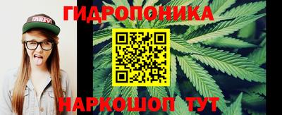 крисы Пугачёв