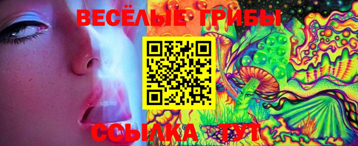Псилоцибиновые грибы GOLDEN TEACHER Сегежа