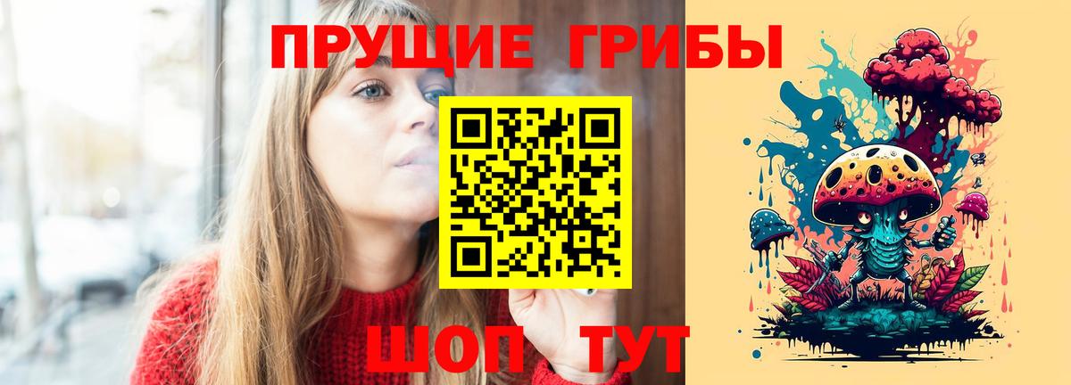 Сегежа  где найти наркотики  Вход с VPN  Галлюциногенные грибы GOLDEN TEACHER 